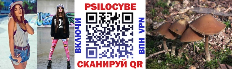 Купить где  Ивангород  Галлюциногенные грибы прущие грибы 