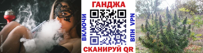 Купить закладки  Ивангород  Конопля план 